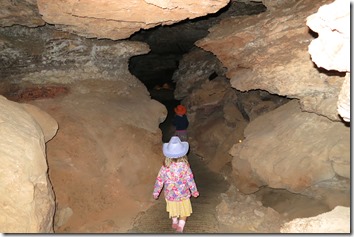 IMG_3848 IMG_3848