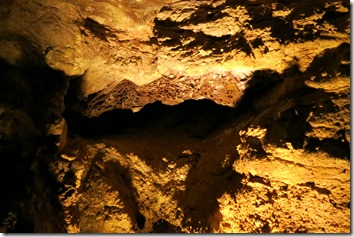 IMG_3881 IMG_3881