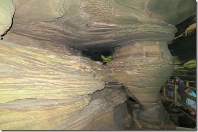 IMG_3079 IMG_3079