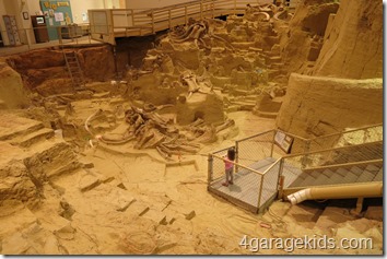 IMG_4227 IMG_4227