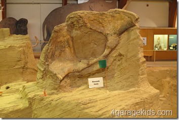 IMG_4200 IMG_4200