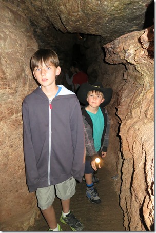 IMG_3903 IMG_3903