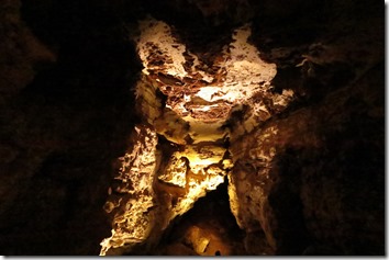 IMG_3870 IMG_3870