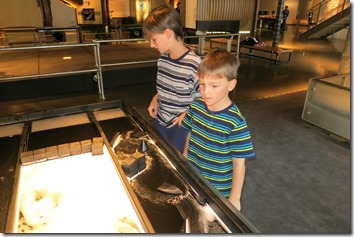 IMG_5314 IMG_5314
