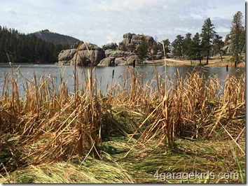 IMG_0270 IMG_0270