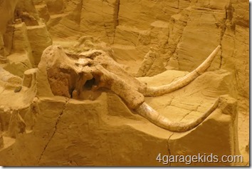 IMG_4220 IMG_4220