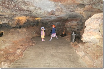 IMG_3888 IMG_3888