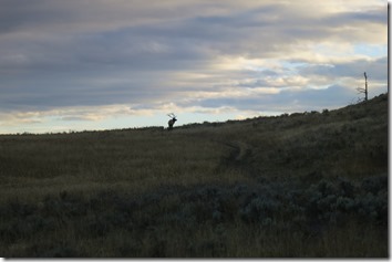 IMG_4571 IMG_4571