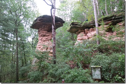 IMG_3095 IMG_3095