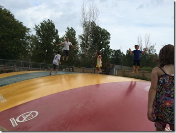 IMG_7959 IMG_7959